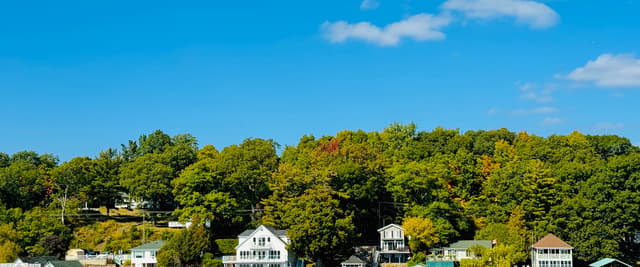 Sandy beach with calm water, moored boats and docks, forested shoreline under clear blue sky